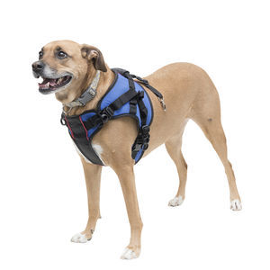 辅助行走吊具 / 用于直立机 / 犬用