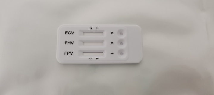 Wuhan Xuqinxuan Biotechnology Photo 5