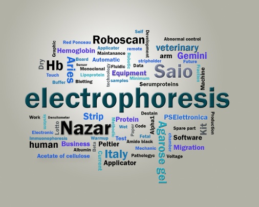 P.S. ELETTRONICA SRL Photo 2