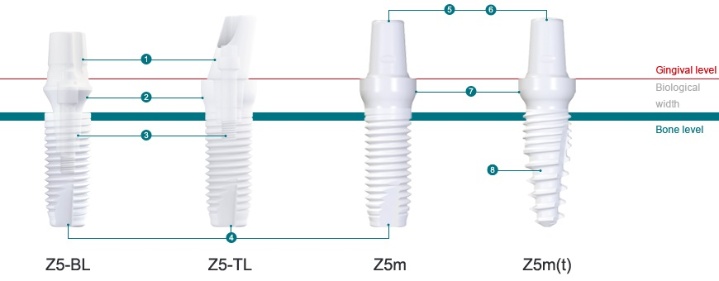 Z-Systems AG Photo 4
