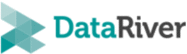 DataRiver s.r.l. - logo