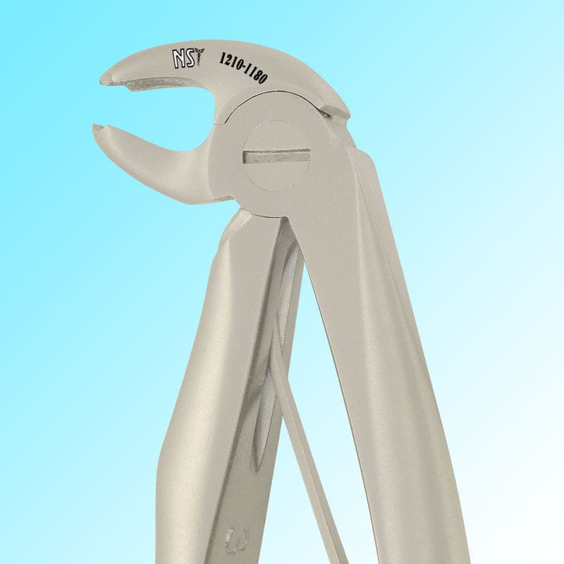 婴儿拔牙钳 / 用于下臼齿 / 英式