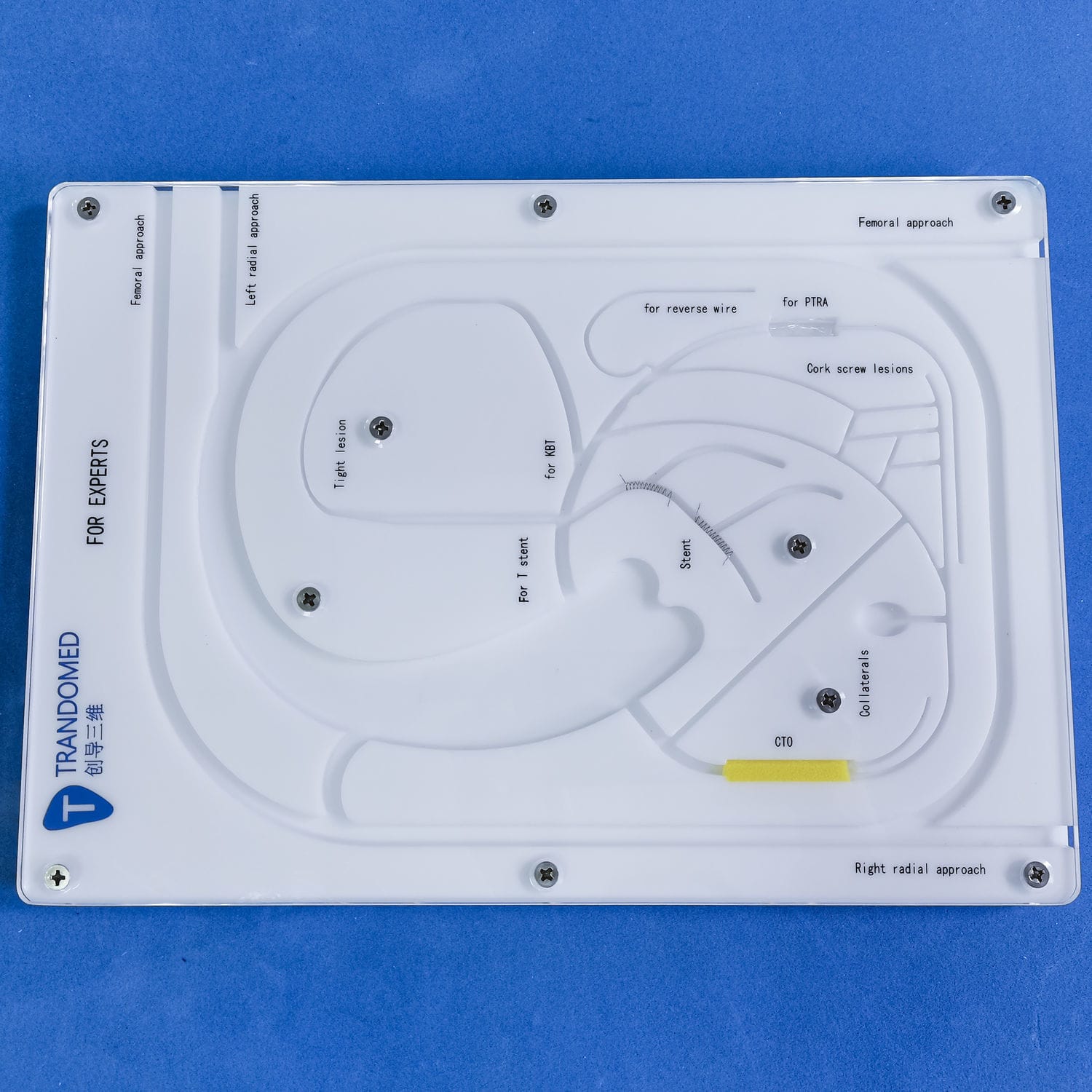冠状動脈模型 冠動脈 模型 京都科学 - メルカリ