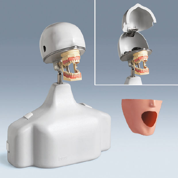 口腔护理模拟病人pk1tse