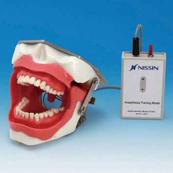 口腔麻醉模拟病人- SUG2005-UL-SP - Nissin Dental Products Inc