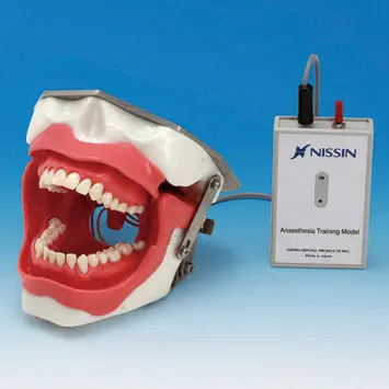 口腔麻醉模拟病人- SUG2005-UL-SP - Nissin Dental Products Inc