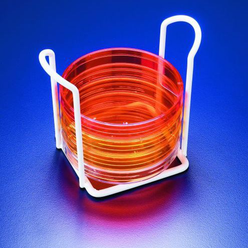 培养皿实验室血沉架