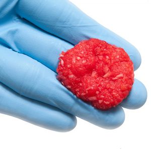 同种异体移植人工骨材料