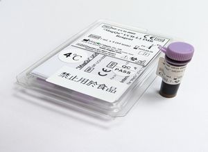 酶试剂