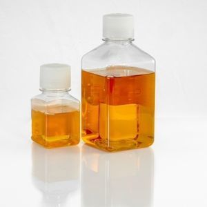 胎牛血清试剂