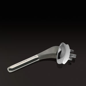 骨水泥或非骨水泥人工肩关节假体 1