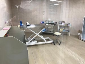 电动兽用手术台 1