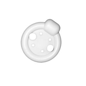 环形子宫托 1