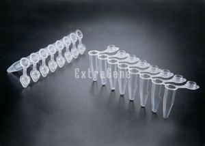 PCR试管