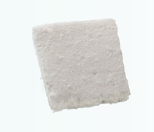 异种移植人工骨材料 1
