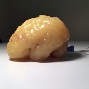 放射造影测试体模
