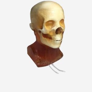 放射造影测试体模 1