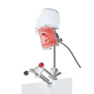 口腔护理医学教学模型- JG-C8 - FOSHAN JINGLE MEDICAL EQUIPMENT CO