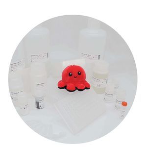 溶液试剂套装