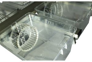 动物研究运动能耗仪 1