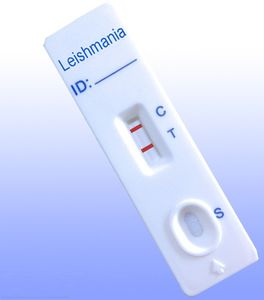 利什曼原虫快速诊断检测
