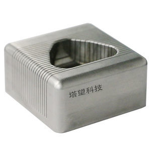 猴子大脑模型 1