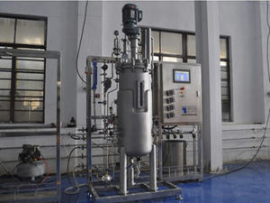 实验室生物反应器