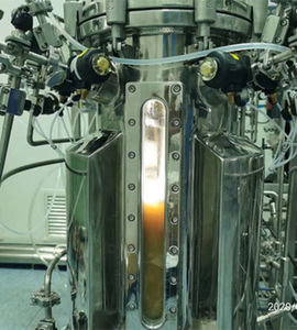 实验室生物反应器