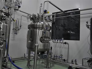 实验室生物反应器
