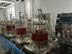 实验室生物反应器