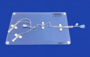 颈动脉解剖模型
