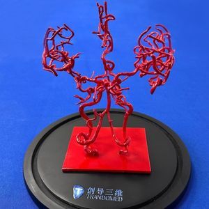 大脑血管模型
