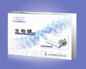 牛跟腱人工硬膜