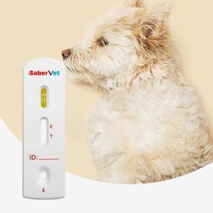 犬瘟热快速诊断检测 1