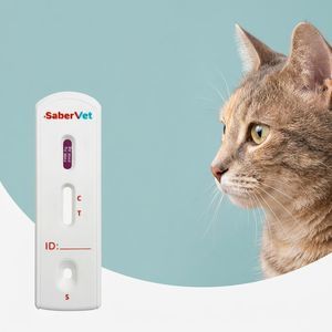 犬心虫快速诊断检测 1