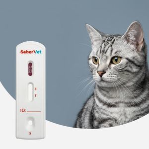 猫白血病快速诊断检测 1