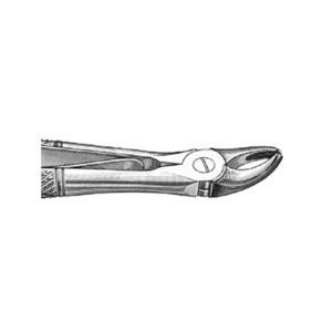 兽用拔牙钳