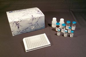 研究快速诊断套装 1