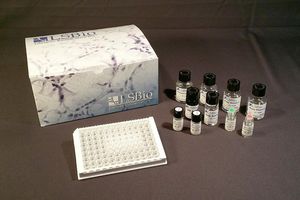 研究快速诊断套装 1