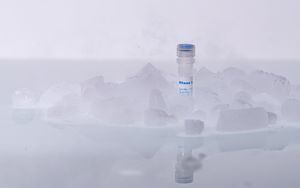 核糖核酸酶抑制剂试剂