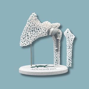 肩部解剖模型