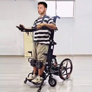 电动直立机 1