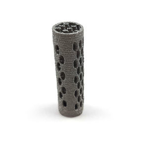 颈椎兽用椎间融合器