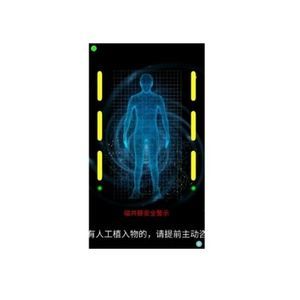 IRM金属探测器 / 壁挂