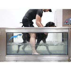 水下兽用跑步机