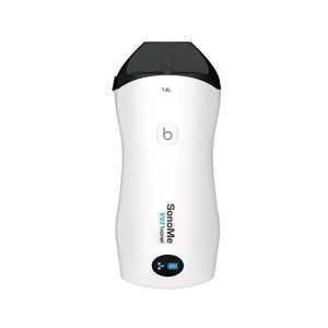 线型兽医超声探头 1