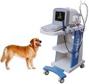 兽医超声波检查仪 / 台式