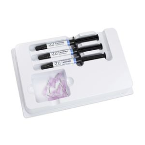 瓷质牙科材料 1