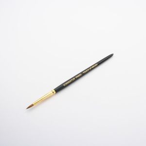 牙科实验室刷子