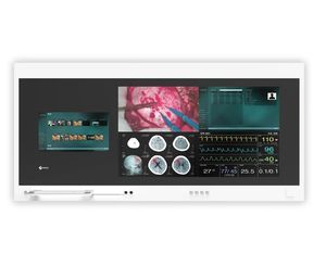 医学成像显示器 1